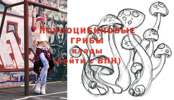 стафф Алексеевка