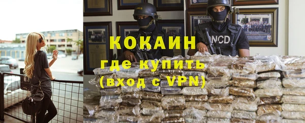 прущие грибы Саяногорск
