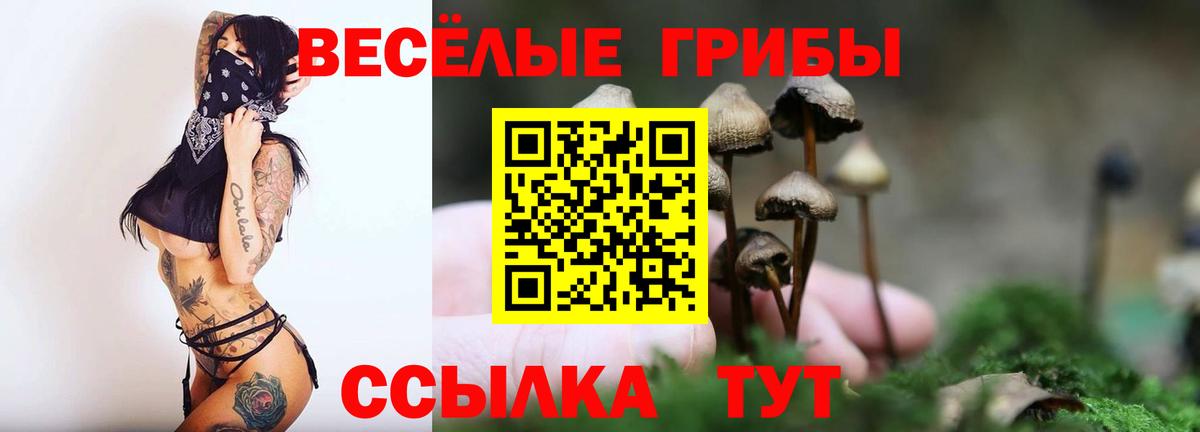 Галлюциногенные грибы GOLDEN TEACHER Балашов